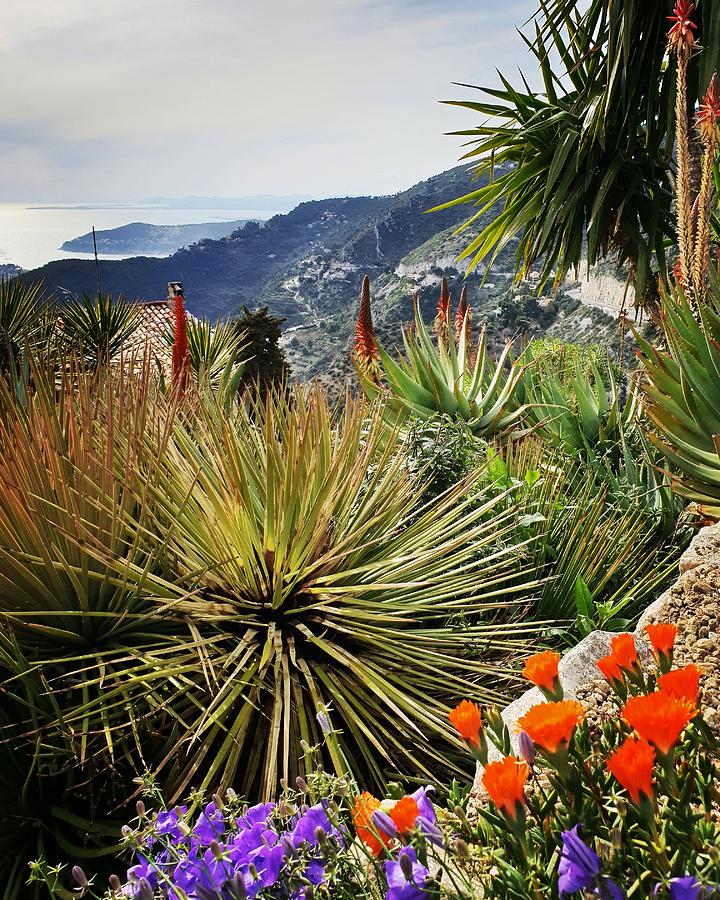 Garden of Eze Photograph by Andrea Whitaker