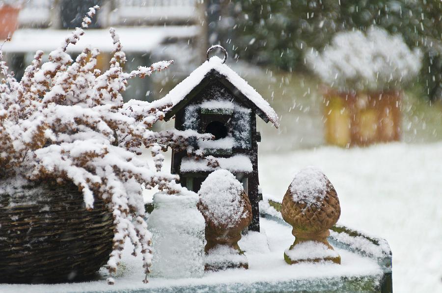 Garden Ornaments In The Snow Photograph by Chris Schfer