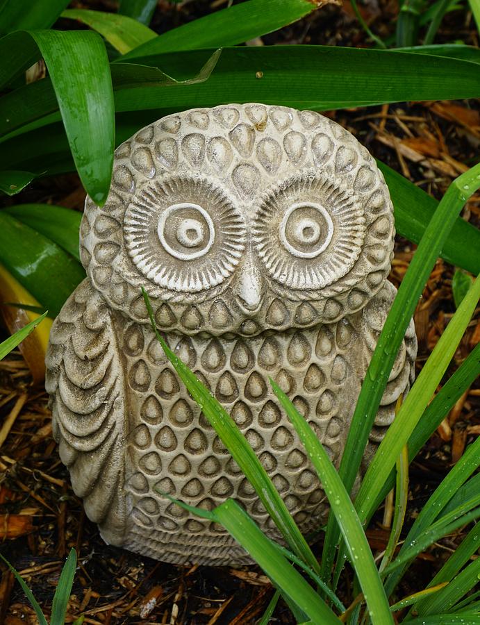 Garden Owl Photograph by Lynette McQueen