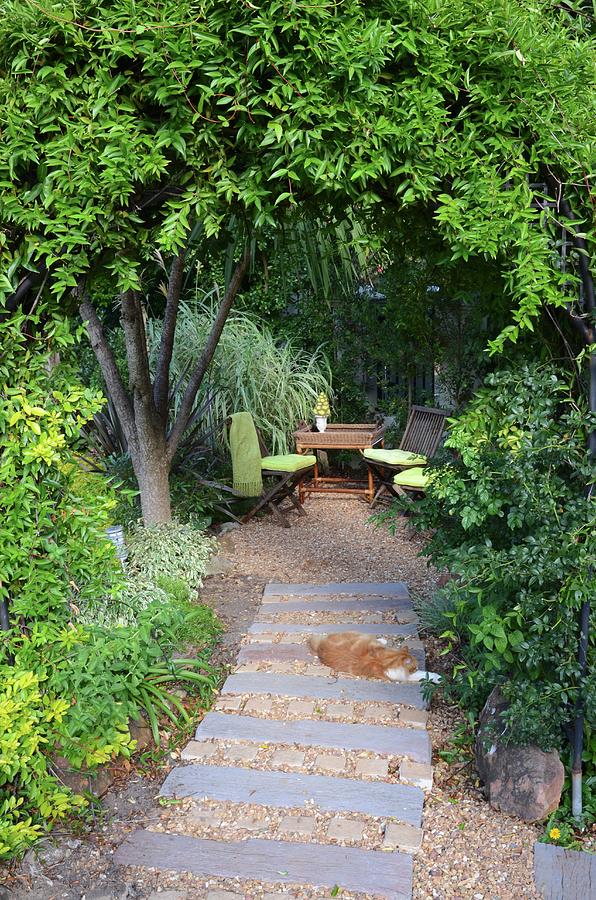 Garden Patch Made From Old Railway Sleepers Leading To Table & Chairs In Secluded Seating Area In Garden Below Trees Photograph by Great Stock!