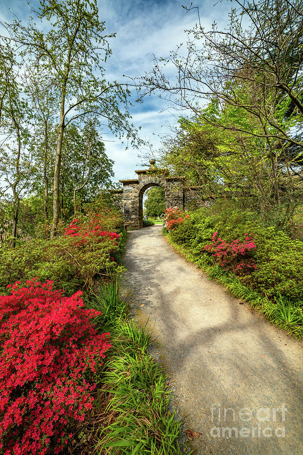 Garden Path and Arch Photograph by Adrian Evans