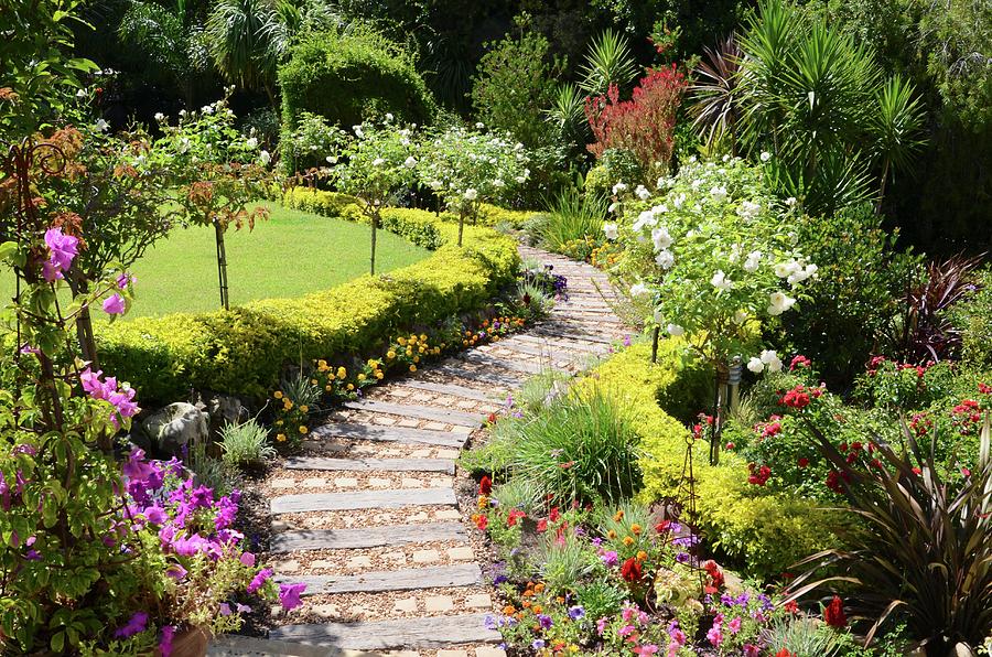 Garden Path Made From Old Railway Sleepers Lined With Flowerbeds, Low Hedges And Standard Roses Photograph by Great Stock!