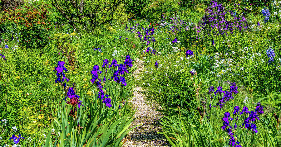 Garden Path Photograph by Marcy Wielfaert