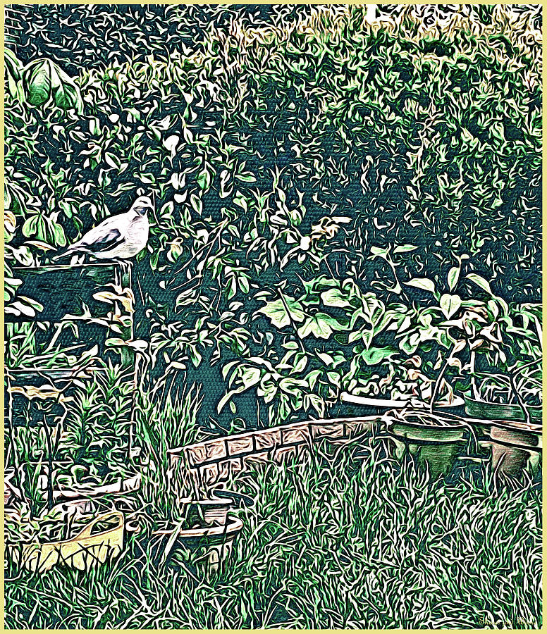 Garden Pigeon, Abbie Shores FAA Challenge 19 Tapestry - Textile by Lise Winne