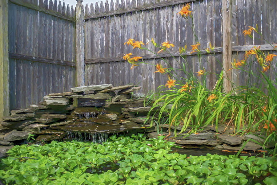 Garden Pond with Orange Day Lilies by Jason Fink Garden Pond with Orange Day Lilies by Jason Fink