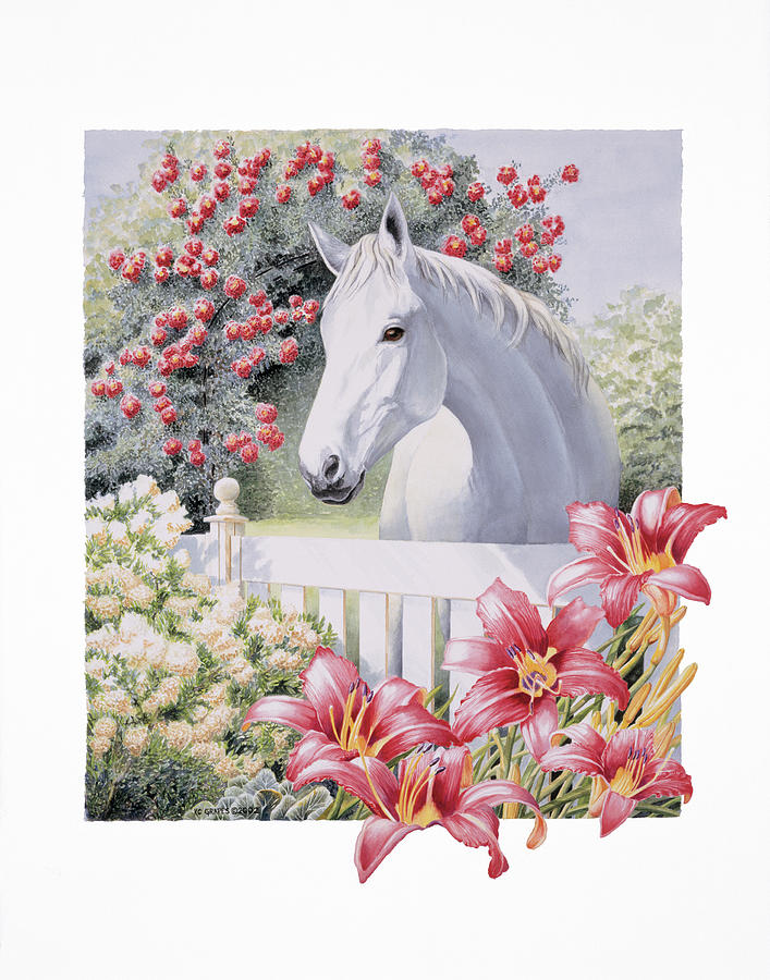 Animal Painting - Garden Pony by K.c. Grapes