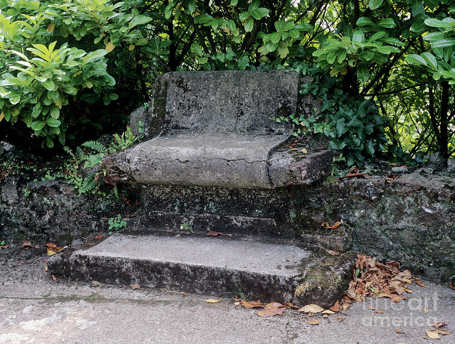 Furniture Photograph - Garden Seat by Geoff Kidd/science Photo Library