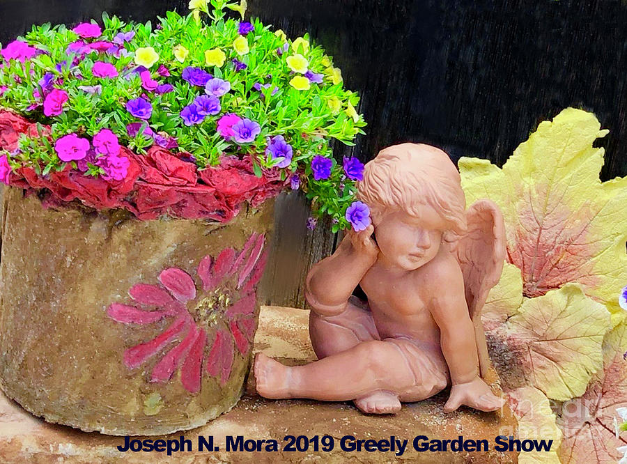 Garden show Angel Photograph by Joseph Mora