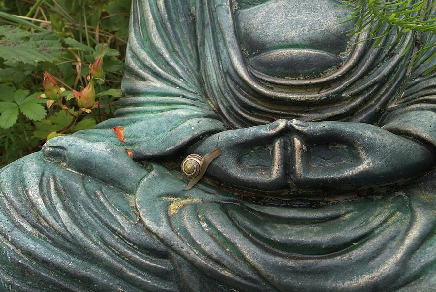Garden Snail On Buddha Statue Photograph by Unknown