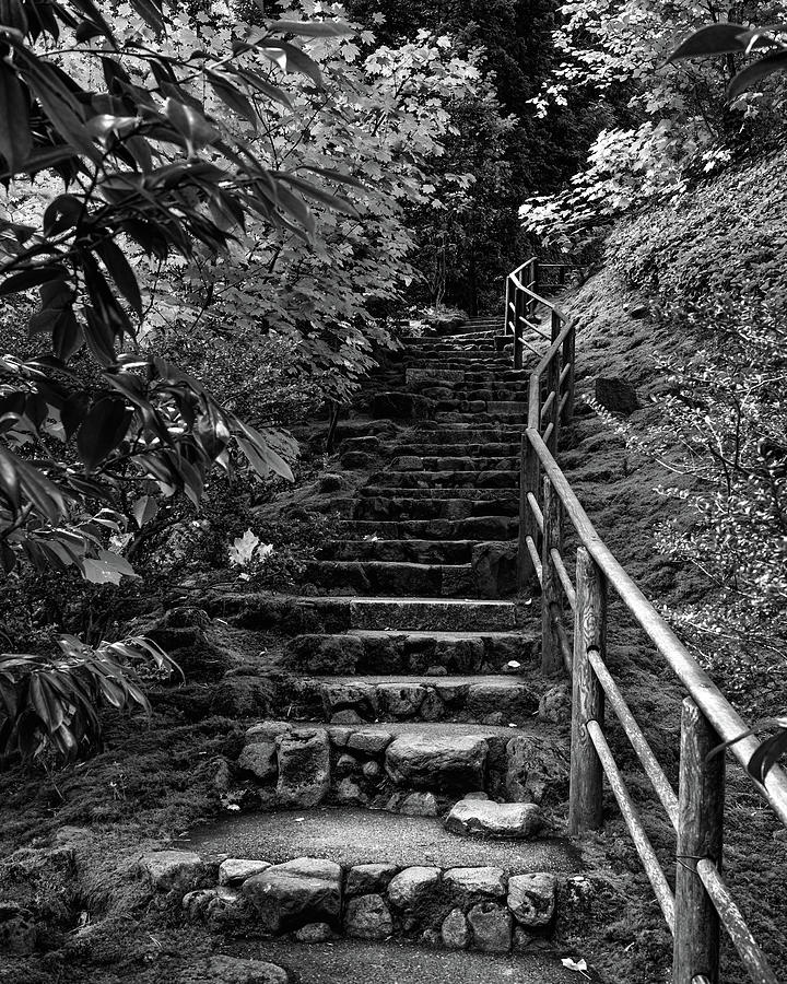 Garden Stairs Photograph by Joseph Smith