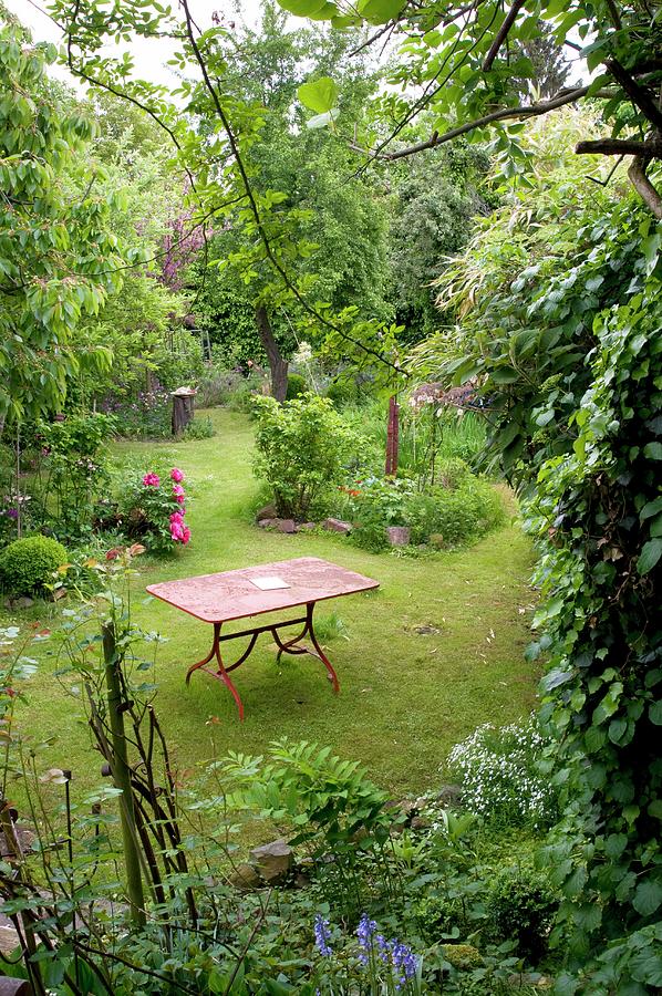 Garden Table On Lawn Of Wild Garden Photograph by Franziska Pietsch