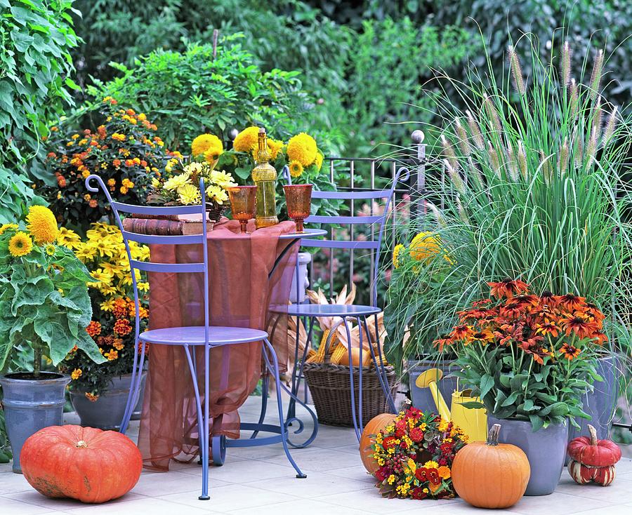 Garden Terrace Decorated For Autumn In Shades And Yellow And Orange ...