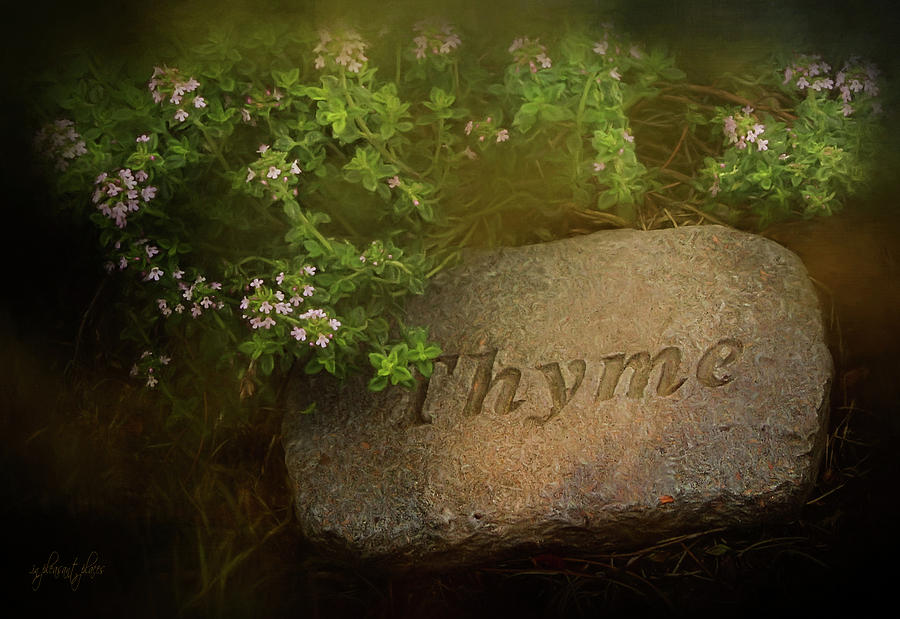 Garden Thyme Digital Art by Joanna Kovalcsik