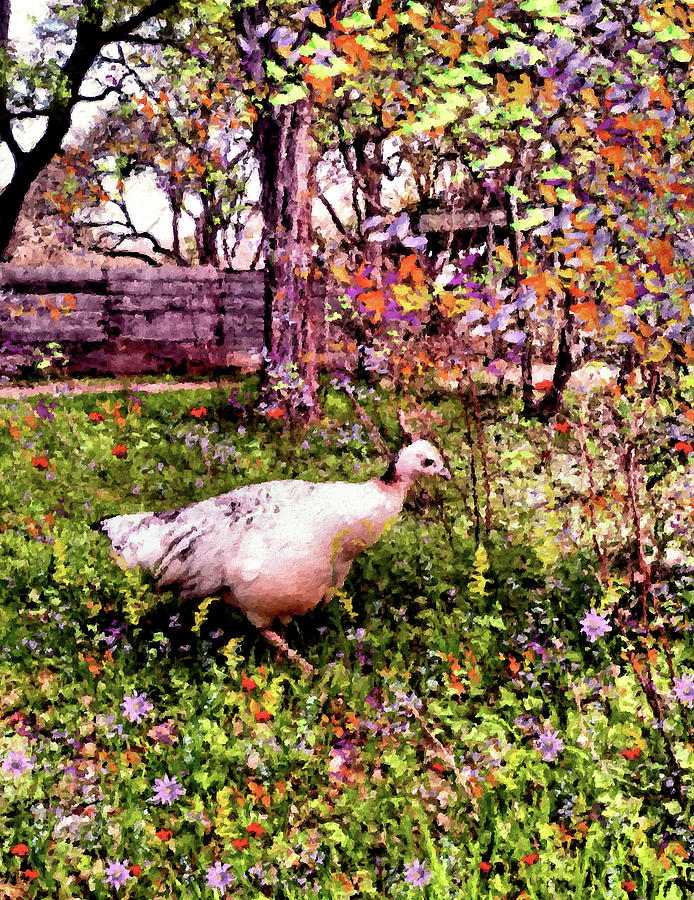 Garden Visitor Mixed Media by Natalie Holland