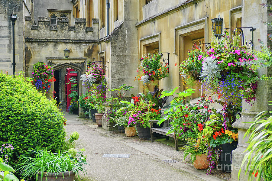 Garden Walkway At Magdalen College Oxford England Photograph By Paul Gregory