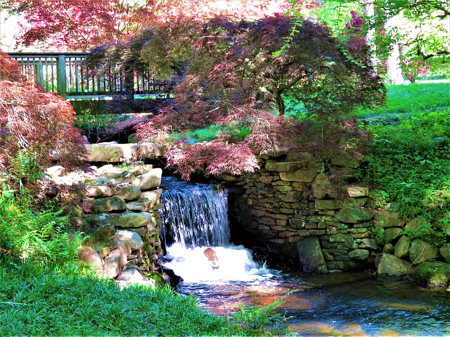 Garden Waterfall Photograph by Kathy Long
