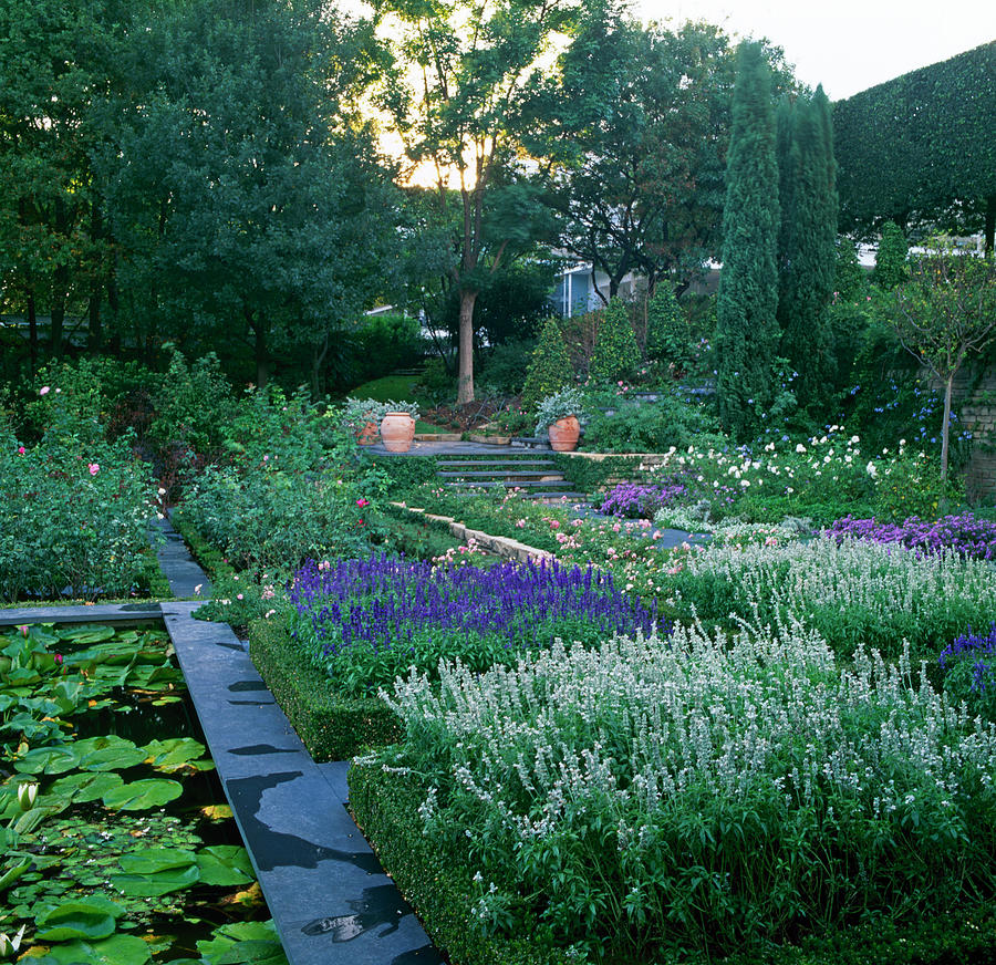 Garden With House In Back Photograph by Richard Felber