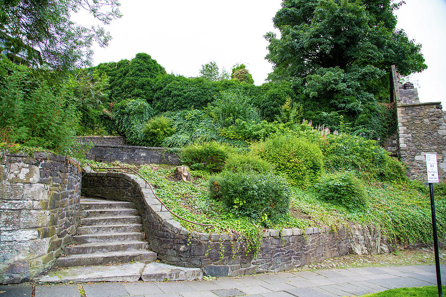 Garden With Stone Stairs Going Down And Various Bushes Photograph by ...