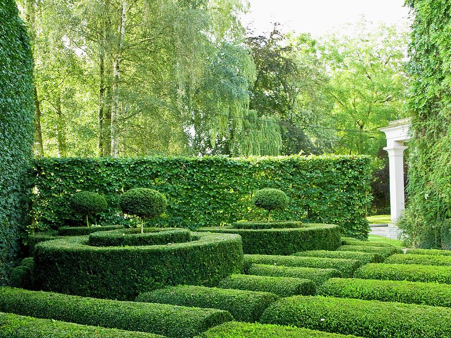 Garden With Wellpmanicured Hedges And Topiaries Photograph by Bertrand Limbour