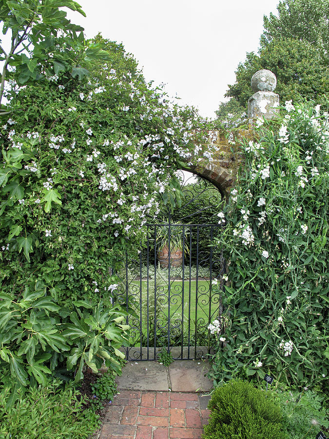 Garden With Wrought Iron Gate Photograph by Klaus Arras - Fine Art America