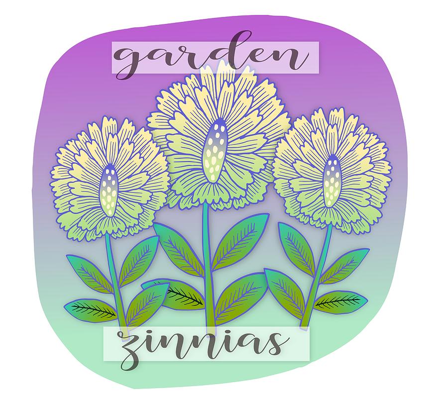 Garden Digital Art - Garden Zinnias by Elaine Jackson