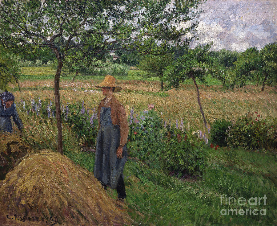 Gardener Standing By A Haystack Drawing by Heritage Images