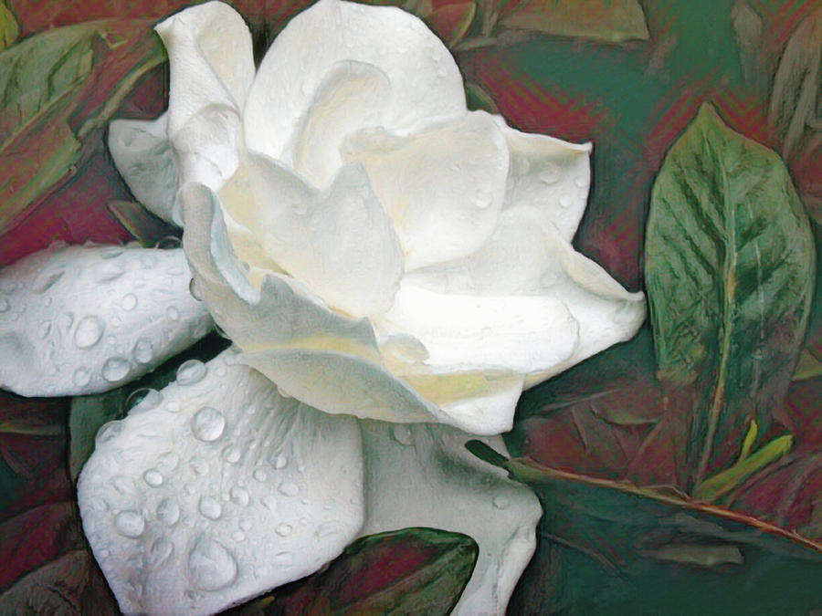 Gardenia Romance Digital Art by Susan Hope Finley