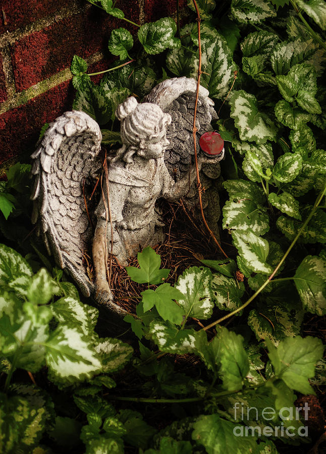 Gardening Angel Photograph by John Anderson