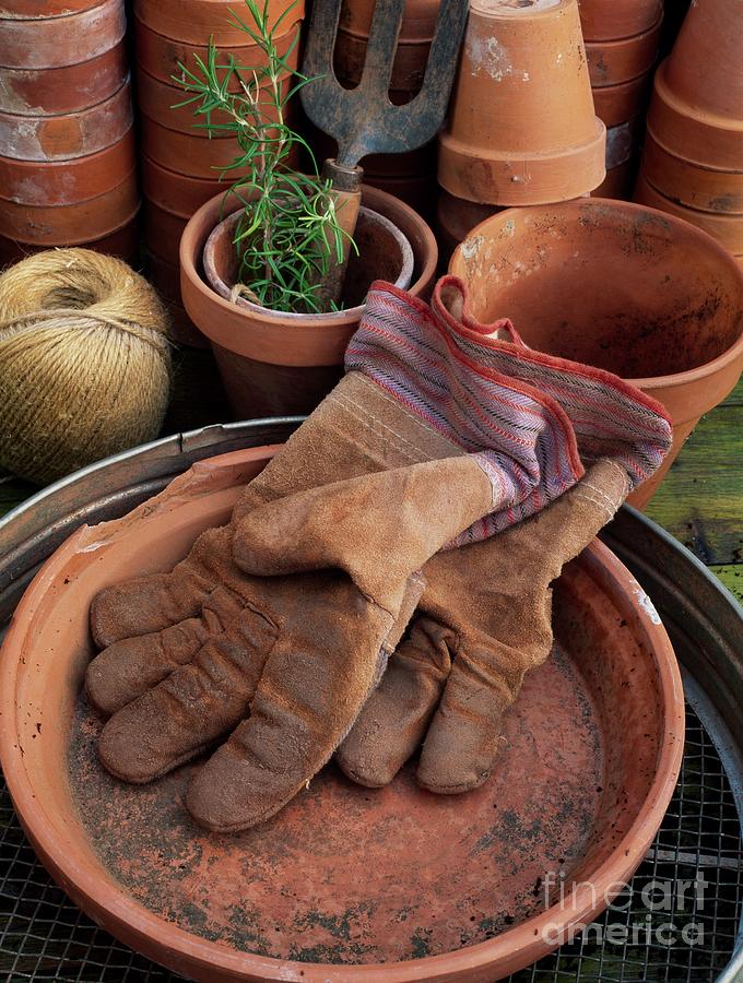Tool Photograph - Gardening Gloves On Bench by Geoff Kidd/science Photo Library