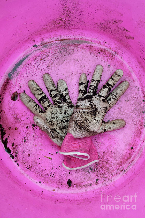 Gardening Gloves Photograph by Tim Gainey