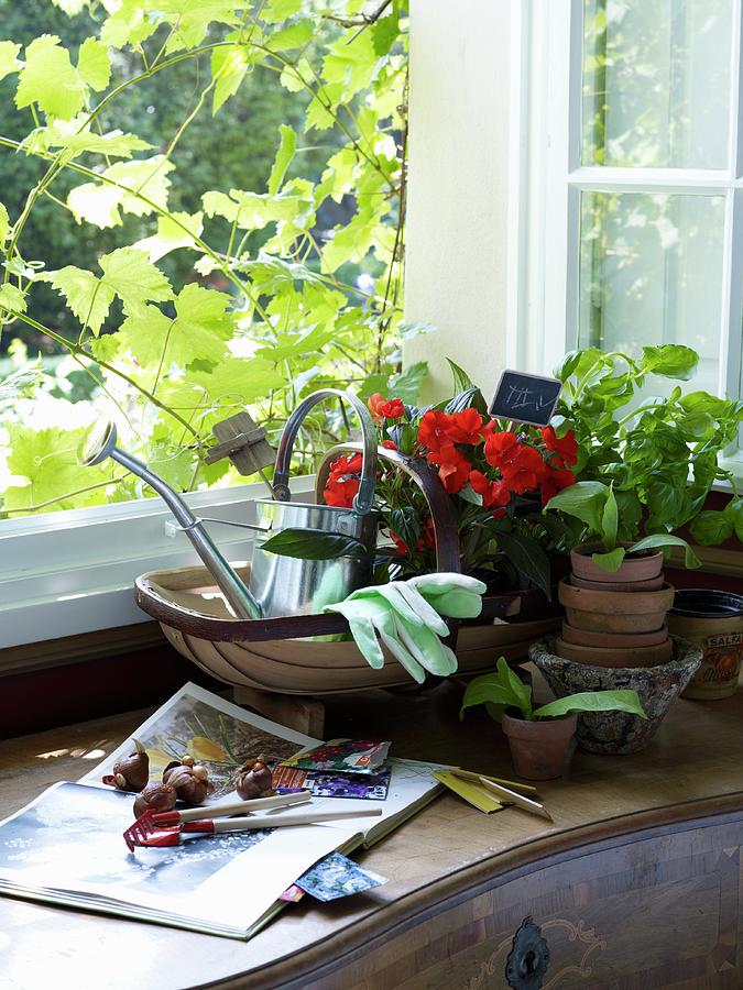 Gardening Tools On Cabinet Below Open Window Photograph by Matteo Manduzio