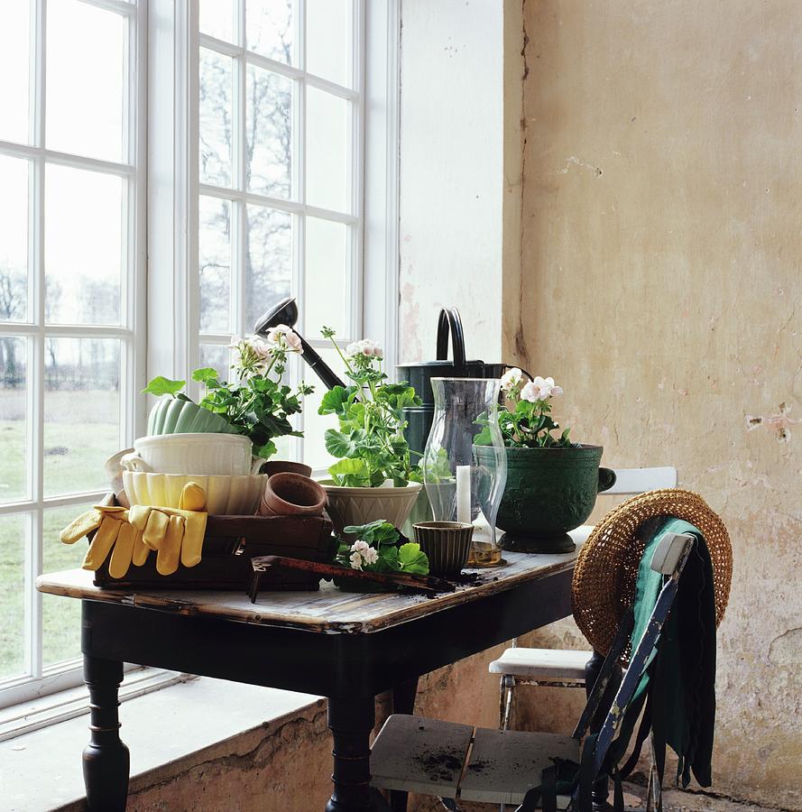 Gardening Utensils And Geraniums On Wooden Table With Worn Top And Old Garden Chair In Front Of Window Photograph by Tine Guth Linse