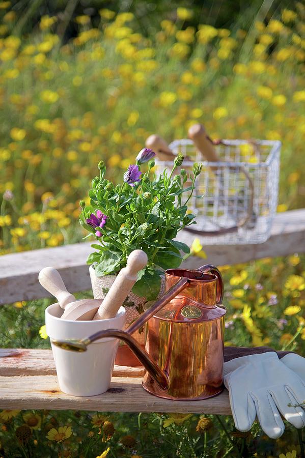 Gardening Utensils, Potted Plant And Copper Watering Can On Rustic Bench In Field Of Yellow Flowers Photograph by Winfried Heinze