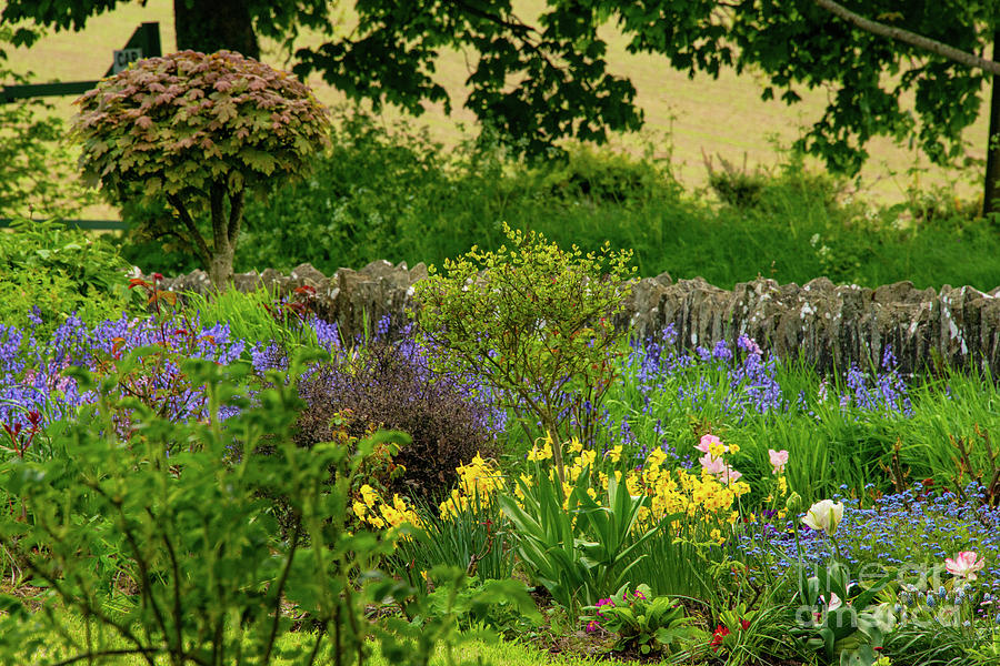 Gardens at Monasterboice Ruins Photograph by Bob Phillips
