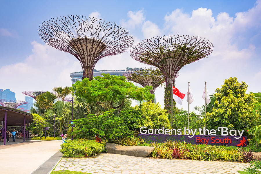 Tree Photograph - Gardens By The Bay In Singapore by Sean Pavone