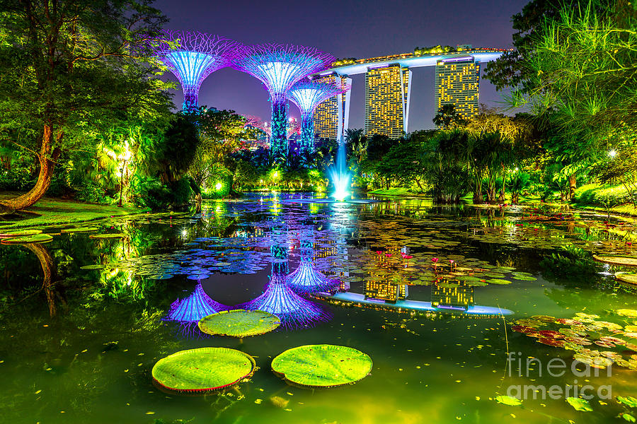 Gardens by the Bay night Photograph by Benny Marty