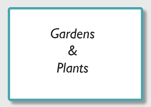 gardens by Kathy Adams Clark gardens by Kathy Adams Clark