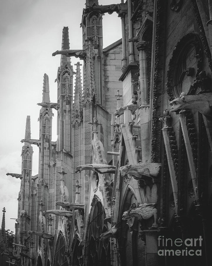 Gargoyle Details on Notre Dame, Paris 2016 Photograph by Liesl Walsh