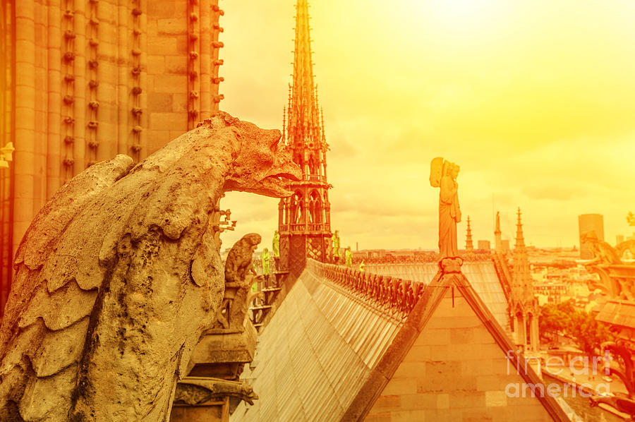 gargoyle of Notre Dame at sunset Photograph by Benny Marty