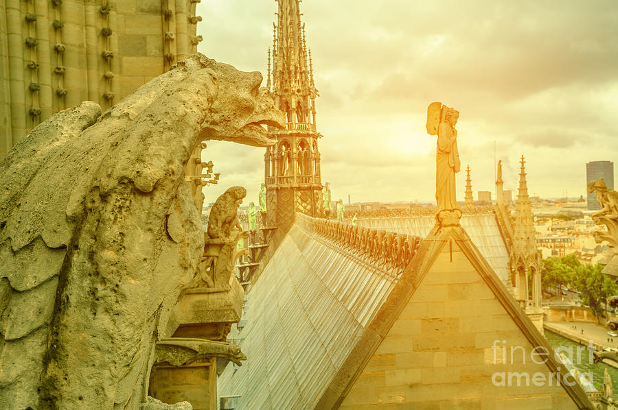 gargoyle statue of Notre Dame at sunset Photograph by Benny Marty