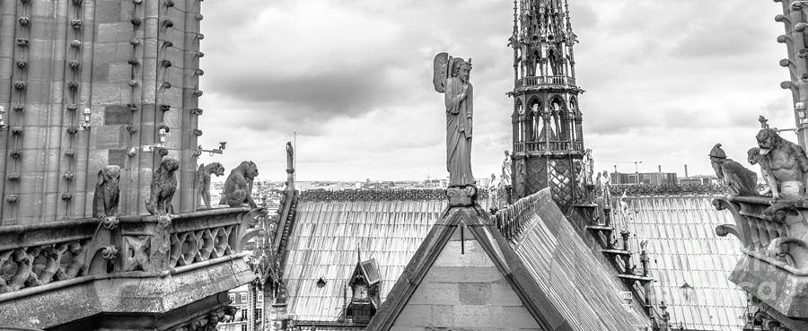gargoyle statues of Notre Dame panorama Photograph by Benny Marty