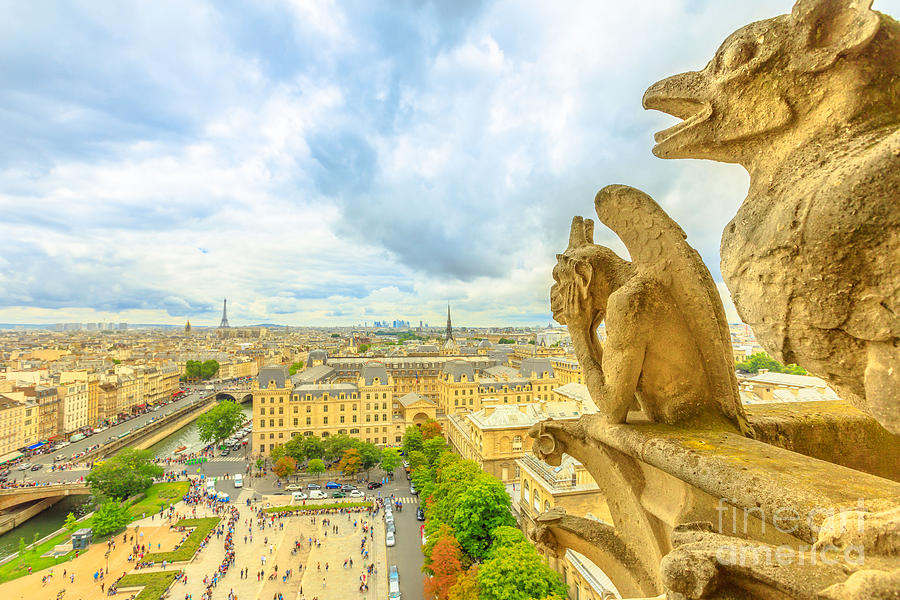 gargoyles of Notre Dame cathedral Photograph by Benny Marty