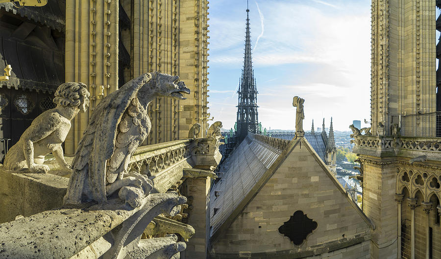 Gargoyles On Notre Dame De Paris Digital Art by Guido Cozzi