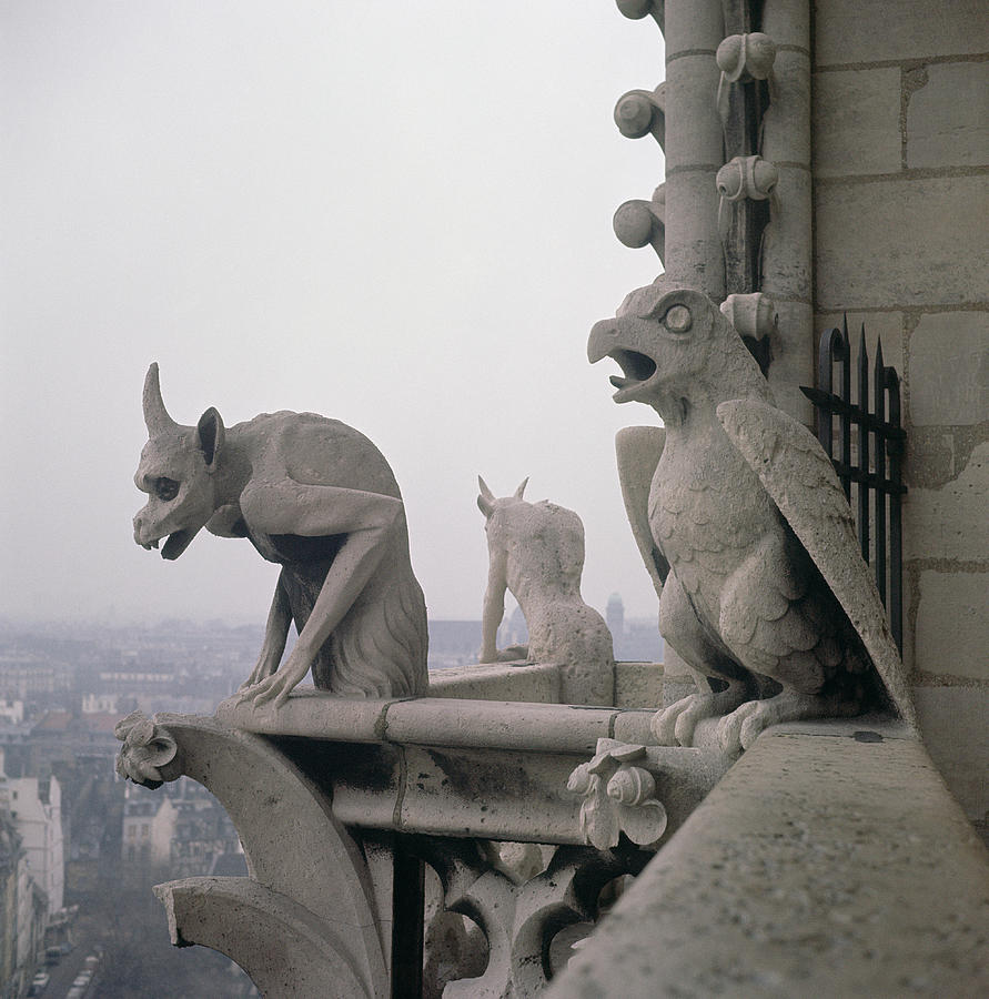 Gargoyles On The Balustrade Of The Grande Galerie Photograph by Eugene Emmanuel Viollet-le-duc