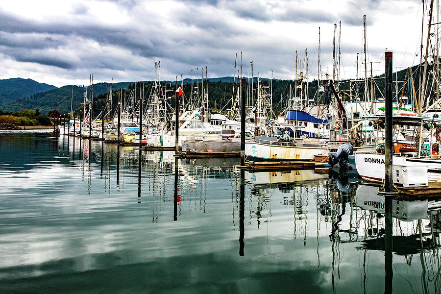 Garibaldi Docks Photograph by Larry Waldon