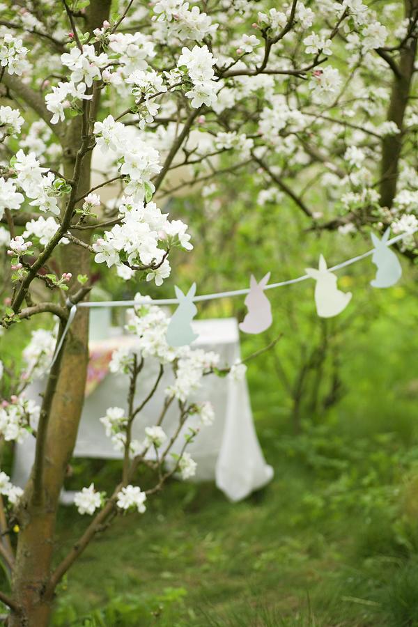 Garland Of Bunnies Between Blossoming Fruit Trees And Set Table In Background Photograph by Alicja Koll