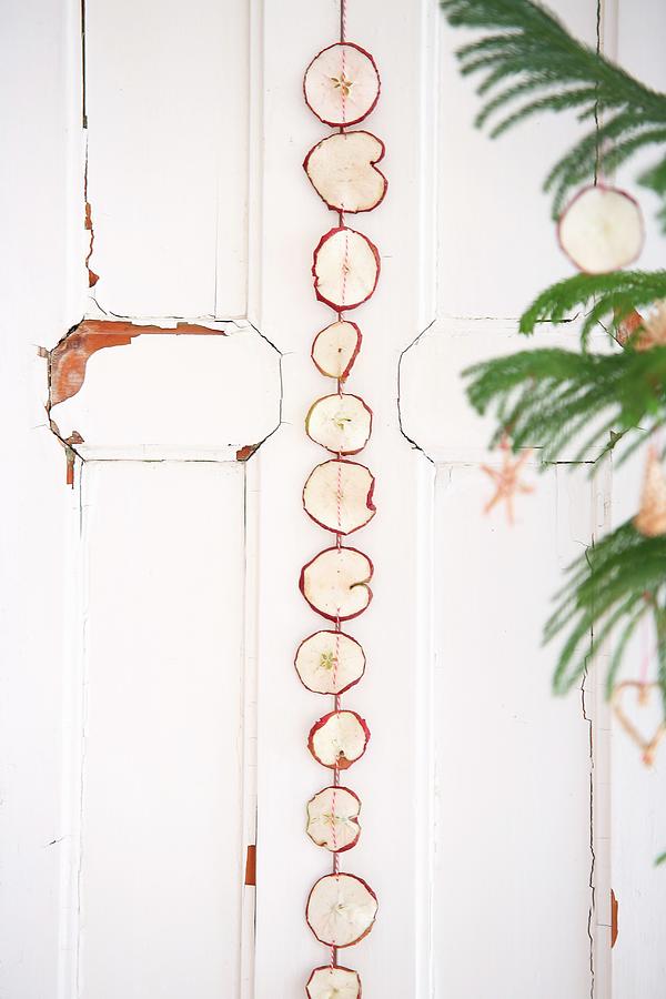 Garland Of Dried Apple Slices On Shabby-chic Door Photograph by Syl Loves
