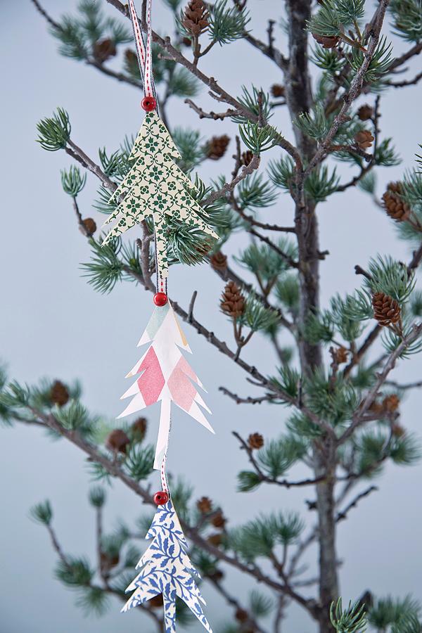 Garland Of Paper Christmas Trees Hung From Larch Branch Photograph by Martin Slyst