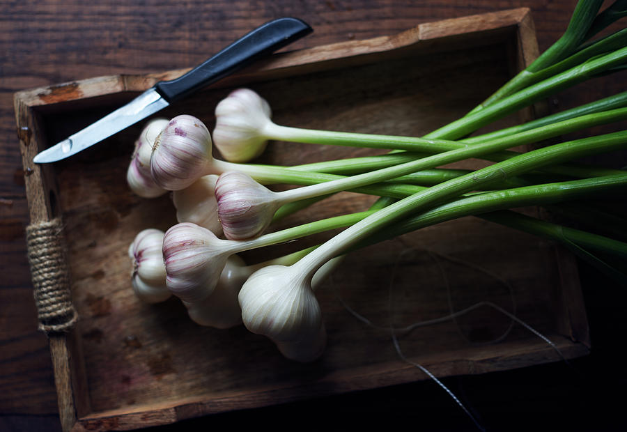 Food Photograph - Garlic by Aleksandrova Karina