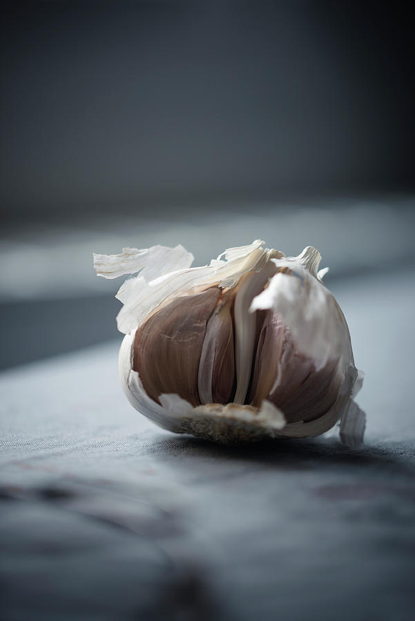 Garlic allium Sativum Photograph by Kati Neudert